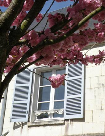 La Closerie Saint Jacques Loches Eksteriør bilde
